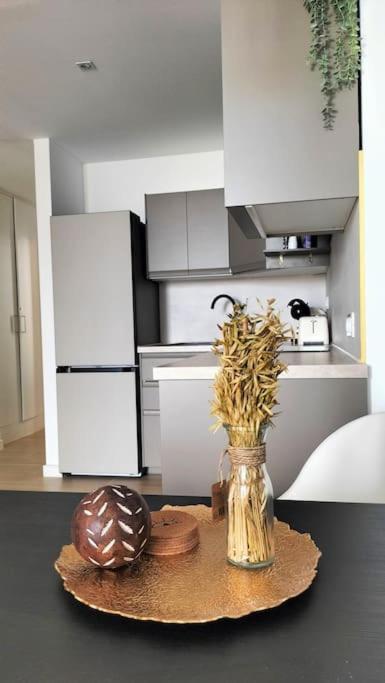 コラレホLuxury Penthouse Valentin With Jacuzziアパートメント エクステリア 写真
